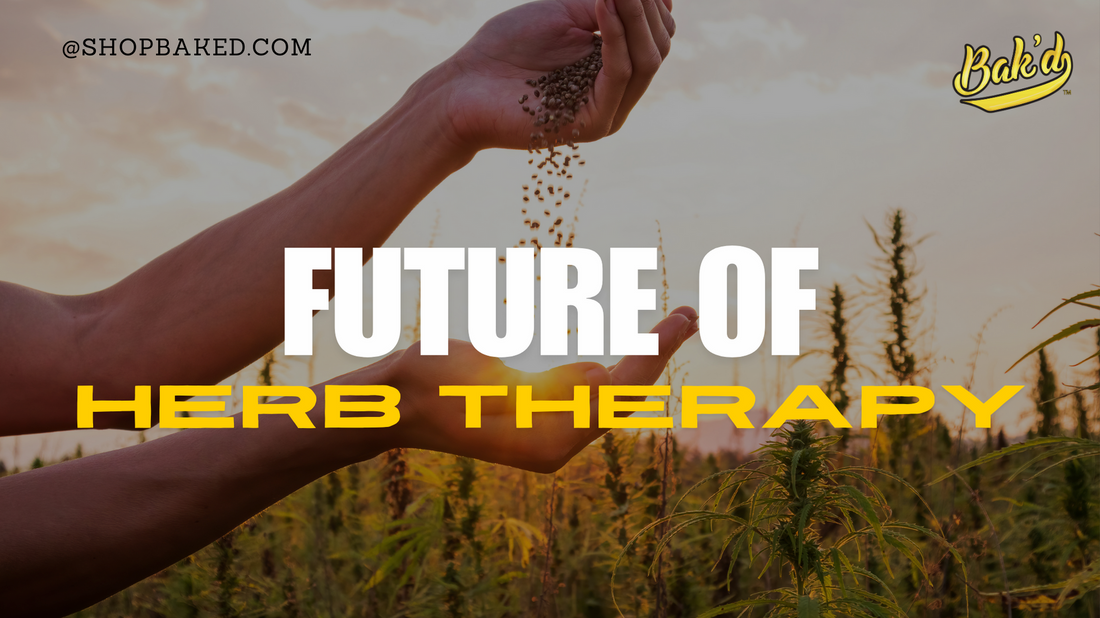 The Future of Herb Therapy: Emerging Trends in THC and CBD Use