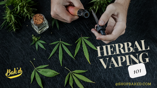 Herbal Vaping 101: Choosing the Right Concentrates for Beginners