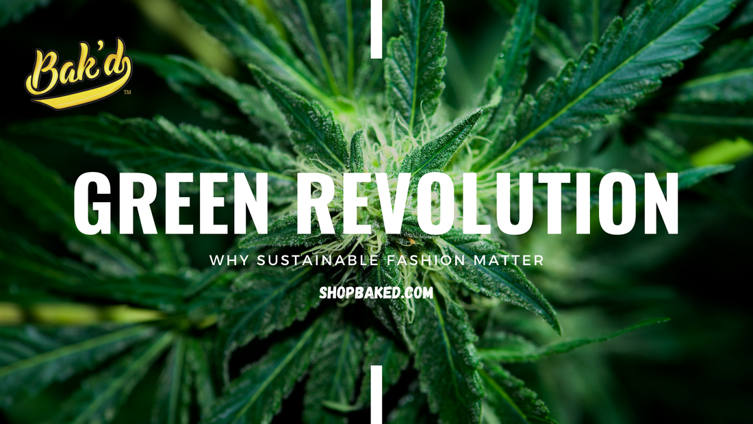 The Green Revolution: Why Sustainable Fashion Matters