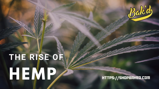 The Rise of Hemp: Revolutionizing Eco-Friendly Fashion